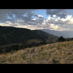 Meet your Posher, Joe